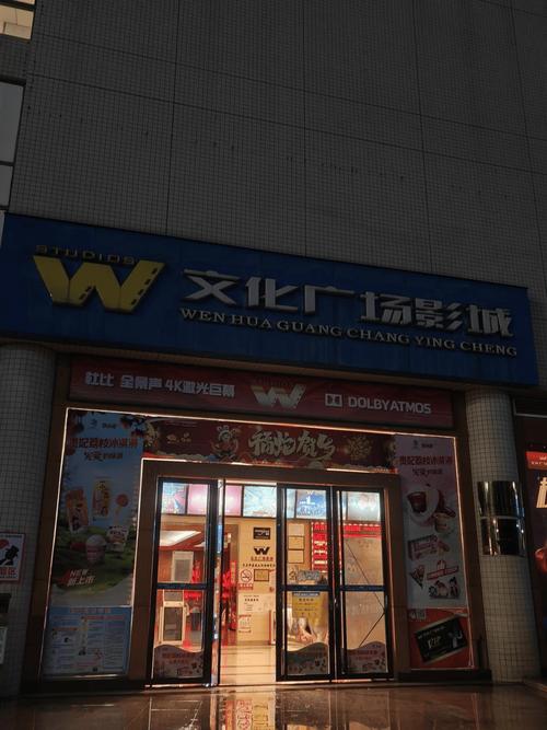 131zy在线影院的相关介绍