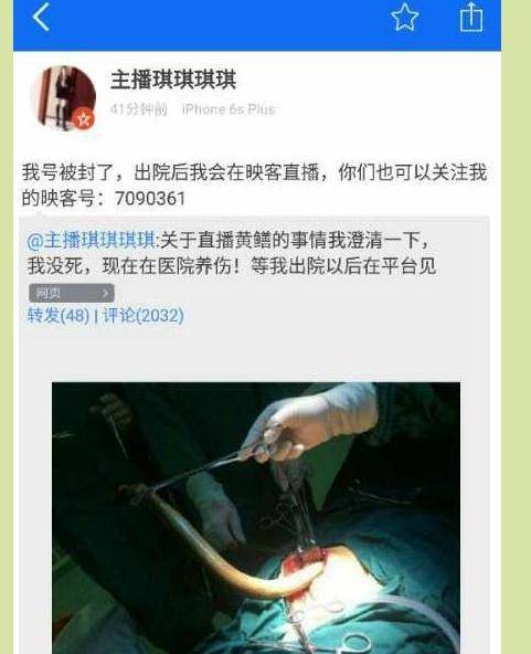 双性宫交h的相关介绍