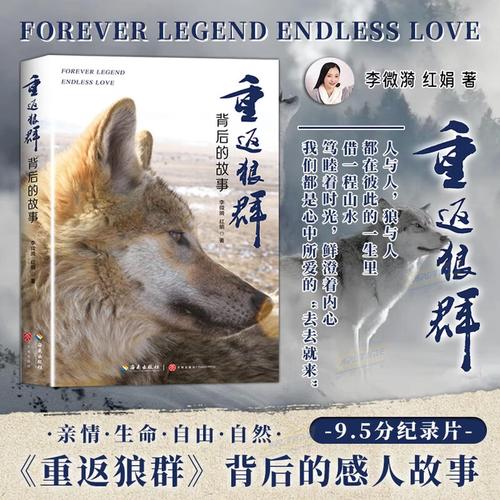 神马影院我不卡手版院的相关介绍