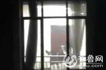 黑丝av在线免费观看的相关介绍