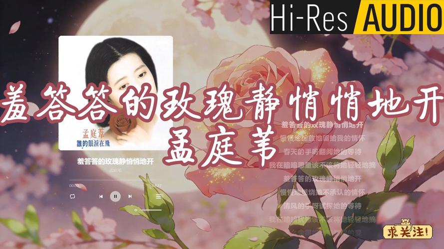 成年人18禁在线观看的相关介绍