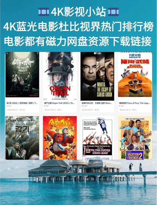 宫廷性艳史毛片的相关介绍