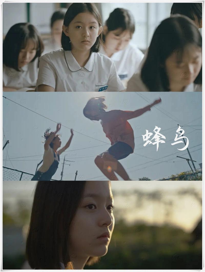 老师操我的逼的相关介绍