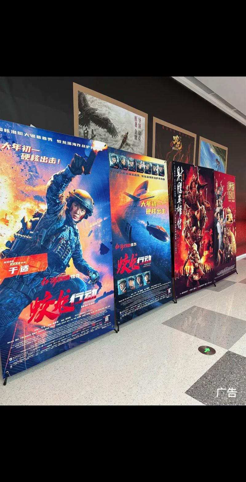 北京的电影院的相关介绍